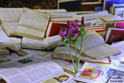 09-05-2019 : Flowers & Books / Fleurs & Livres