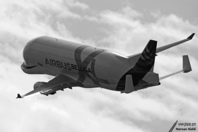 Airbus A330-700L Beluga XL