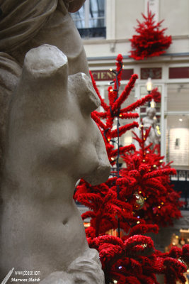 Red Christmas / Nol Rouge