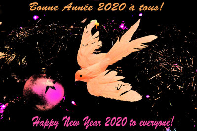 01-01-2020 : A new year / Une nouvelle anne