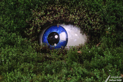 Floralies 2019 - The eye in the bush / L'oeil dans le buisson