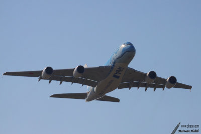 Airbus A380-800 ANA - All Nippon Airways Flying Honu