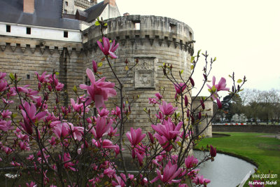 Nantes - Chteau des Ducs de Bretagne