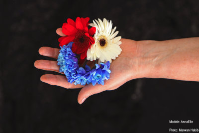 Handfull of flowers / Poigne de fleurs