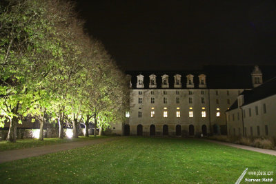 Abbaye Royale de Fontevraud