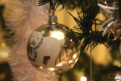 Christmas Bear / Ours de Noël