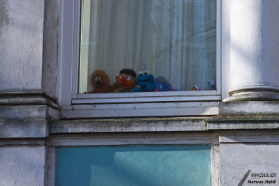 23-03-2022 Muppet Show at the window / Muppet Show à la fenêtre