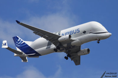 Airbus A330-700L Beluga XL