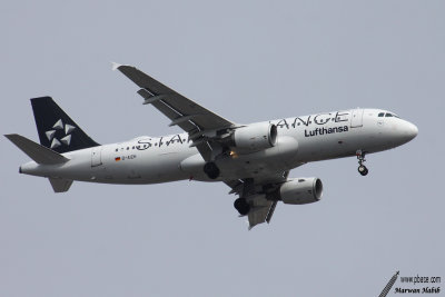 Airbus A320 Lufthansa Star Alliance
