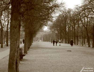 Paris - Jardin du Luxembourg