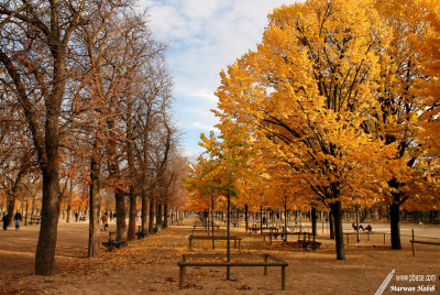 Paris - Jardin du Luxembourg