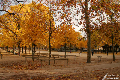 Paris - Jardin du Luxembourg