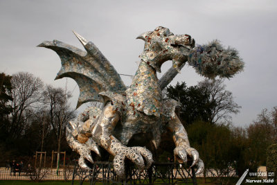 17-02-2007 : Dragon