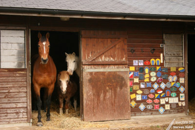 Espoir & Popeye & Lutin - Curious / Curieux