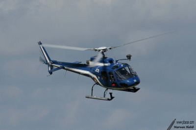 Rennes 2007 - Ecureuil Gendarmerie