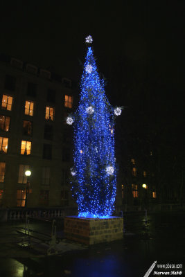 30-11-2007 : Blue Christmas / Nol bleu