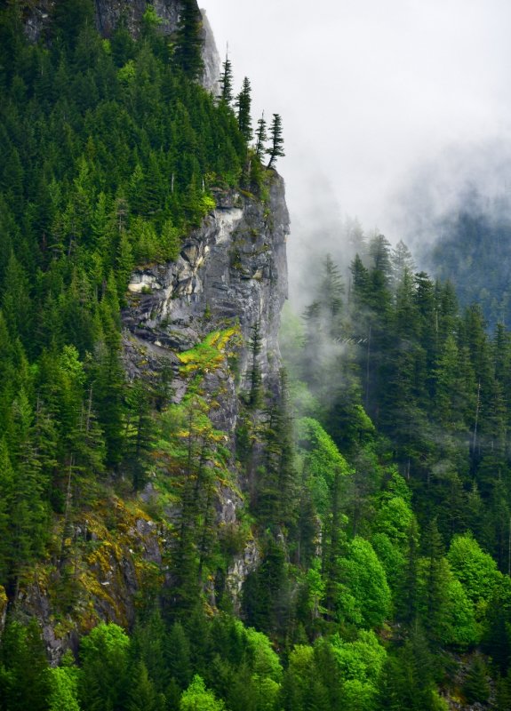 Fog Shrouded Mountain by Lake Isabel, Gold Bar, Washington 310 