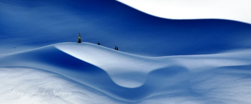 In the Sea of Tranquility on Gothic Peak, Cascade Mountains, Washington 735 