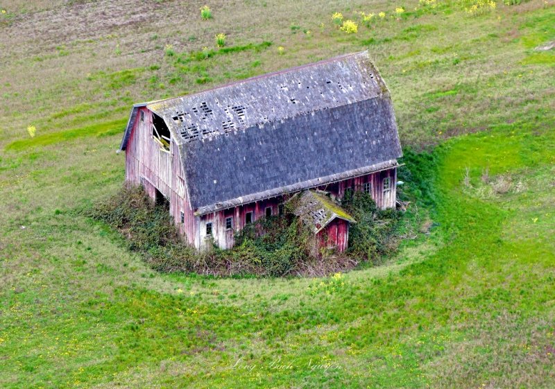 Abandoned Red Barn on Fir Island, Skagit Valley, Conway, Washington 139 