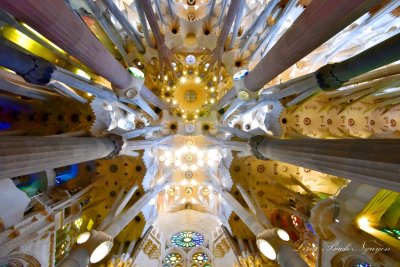 La Sagrada Familia Ceiling  Barcelona Spain 134  