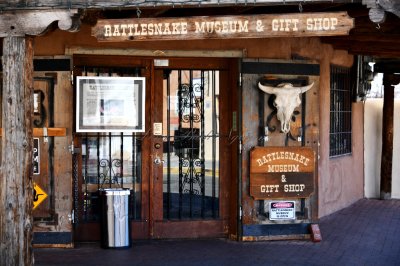 Rattlesnake Museum and Gift Shop, Albuquerque Old Town, New Mexico 304 