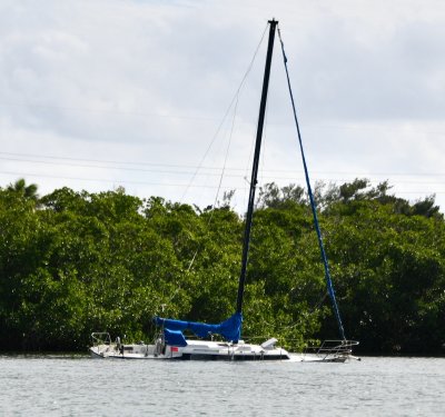 Abandoned Sailboat in Little Basin, Islamorada, Florida Keys, Florida 508 