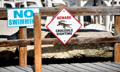  Beware Crocodile Sighting, Lorelei Restaurant & Cabana Bar, Islamorada, Florida Keys, Florida 849