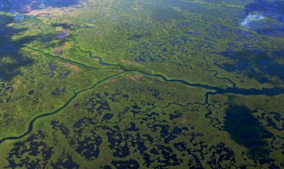 Lane River in Everglades National Park, Florida 311 