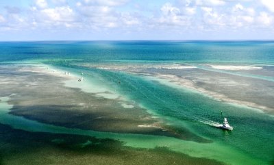 The Sandbar of Islamorada, Florida Keys, Florida 892 