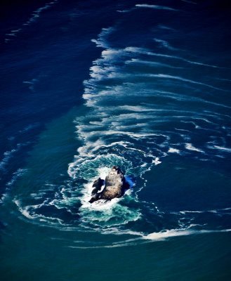 Tillamok Head Lighthouse, Pacific Ocean, Oregon 475 