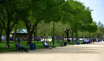 Visitors and Locals on The National Mall, Washington District of Columbia 446