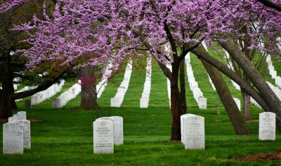 Arlington National Cemetery, United States military cemetery, Arlington County, Virginia 355 .jpg