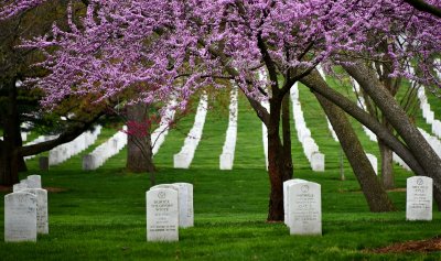 Arlington National Cemetery, United States military cemetery,  Arlington County, Virginia 355.jpg