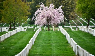 Arlington National Cemetery, United States military cemetery,  Arlington County, Virginia 396 