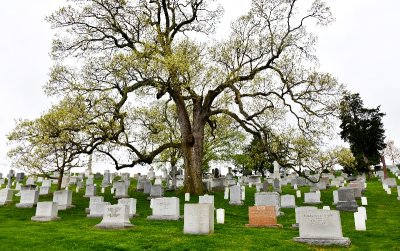 Arlington National Cemetery, United States Military Cemetery,  Arlington, Virginia 442 