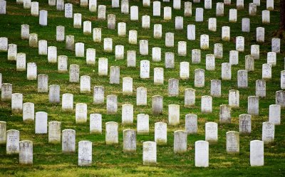 Arlington National Cemetery, United States Military Cemetery,  Arlington, Virginia 461