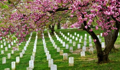 Arlington National Cemetery, United States Military Cemetery,  Arlington, Virginia 483