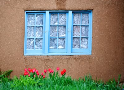 Pink Tulips and Blue Window, Taos, New Mexico 244