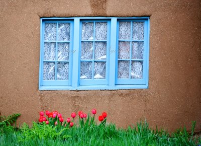 Pink Tulips and Blue Window, Taos, New Mexico 244