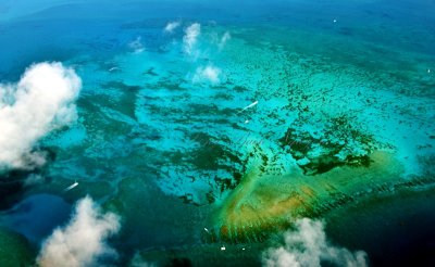 Eastern Dry Rocks, Florida Keys National Marine Sanctuary, Key West, Florida 427  