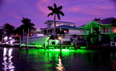 Green Light in Plantation Key, Florida, Floriday Keys 167 
