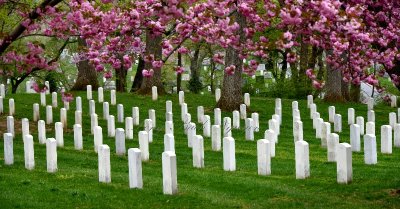Arlington National Cemetery, United States Military Cemetery, Arlington County, Virginia 