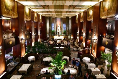 Orchids at Palm Court, Hilton Cincinnati Netherland Plaza hotel, Cincinnati, Ohio 259 