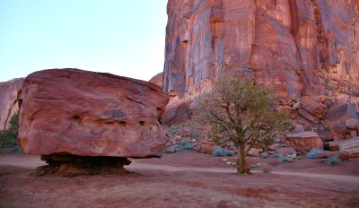 Weathered Rock and Tree, Spearhead Mesa, Monument Valley, Navajo Tribal Park, Navajo Nation, Arizona 523 