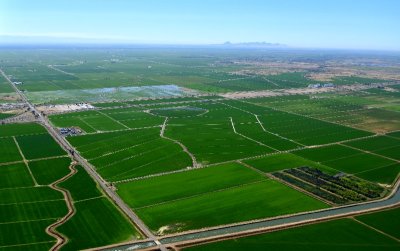 Rice Fields in Sacramento Valley, California 086