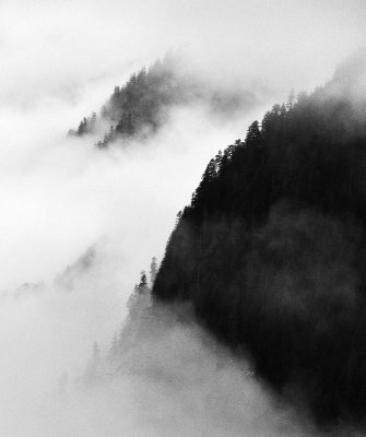 Shroud in Fog on Mt Index, Cascade Mountains, Washington 118a  
