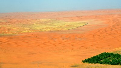 Life in Saudi Desert, Southwest of Al Ghat, Kingdom of Saudi Arabia 1668 