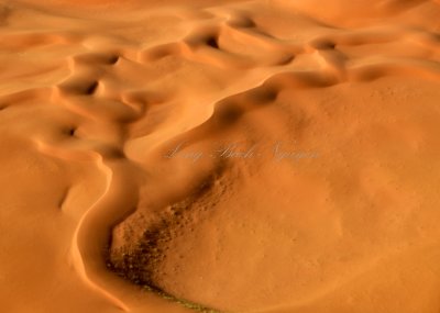 Sand Dune in Saudi Desert, Northwest of Riyadh, Kingdom of Saudi Arabia 1564 