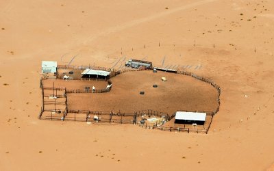 Bedouin camp with camel, Desert of Saudi Arabia, Riyadh Region 968