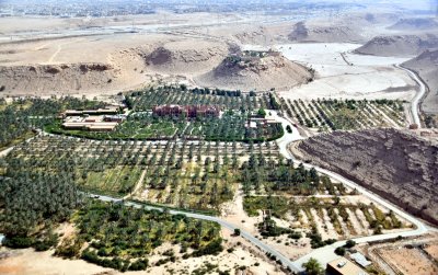 Date Farm in river valley, west of Riyadh, Kingdom of Saudi Arabia 697  